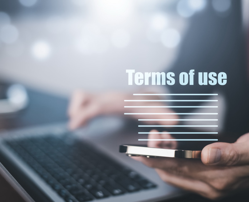 Όροι Χρήσης